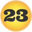 23